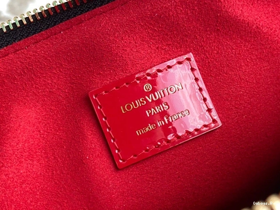 PM COUSSIN LOUIS VUITTON 0308